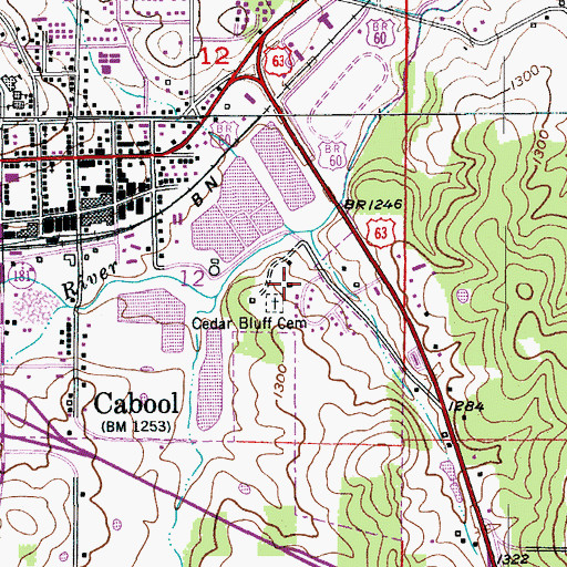 Topographic Map of Cedar Bluff, MO