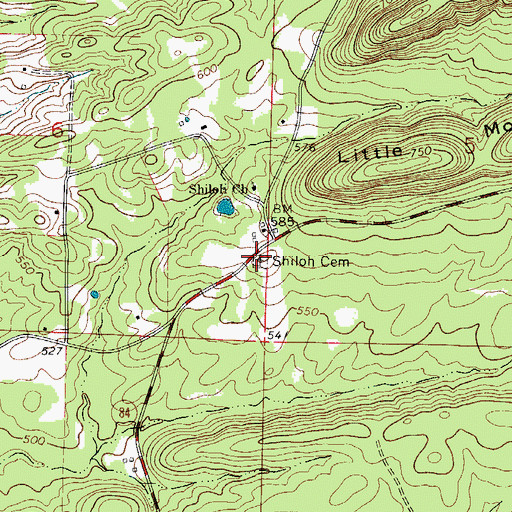 Topographic Map of Shiloh Cemetery, AR