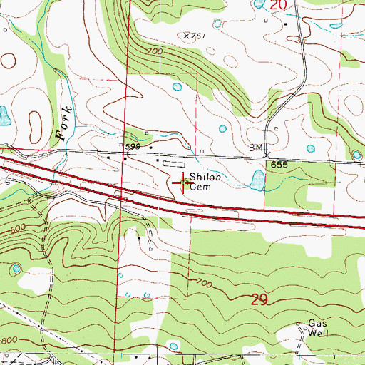 Topographic Map of Shiloh Cemetery, AR