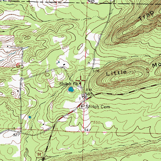 Topographic Map of Shiloh Church, AR