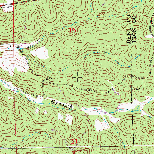 Topographic Map of CCC Camp Boss (historical), MO