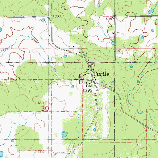 Topographic Map of Turtle Pond, MO