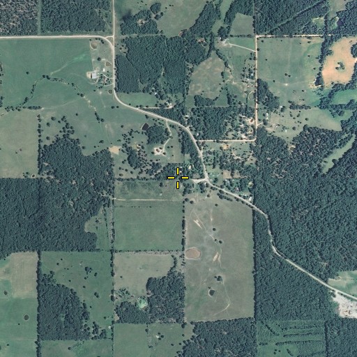 Aerial/Satellite Image of Turtle Pond, MO