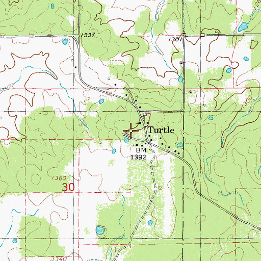 Topographic Map of Turtle School (historical), MO