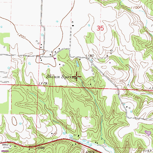 Topographic Map of Shinn Spring, AR