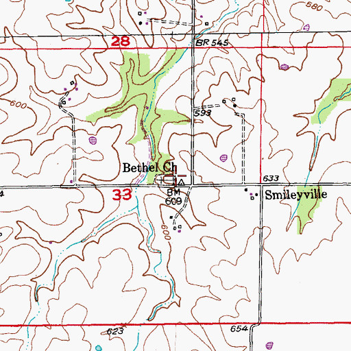 Topographic Map of Bethel Church, MO