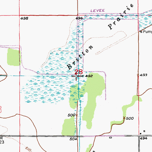 Topographic Map of Big Branch, MO
