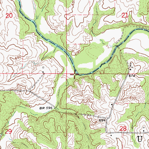 Topographic Map of Brower Branch, MO