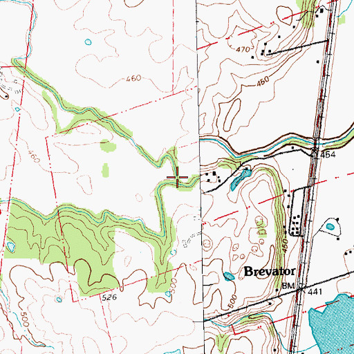 Topographic Map of Brushy Fork, MO