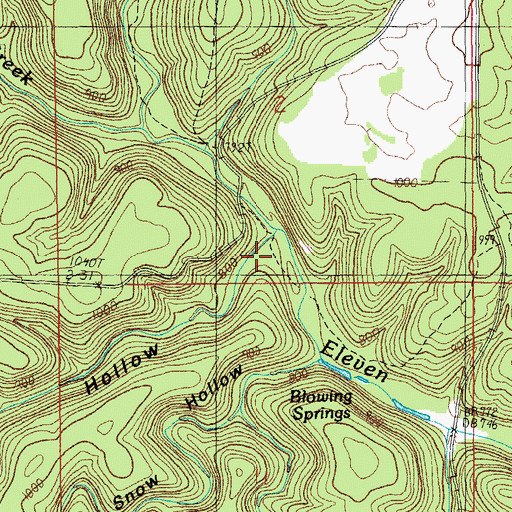Topographic Map of County Hollow, MO