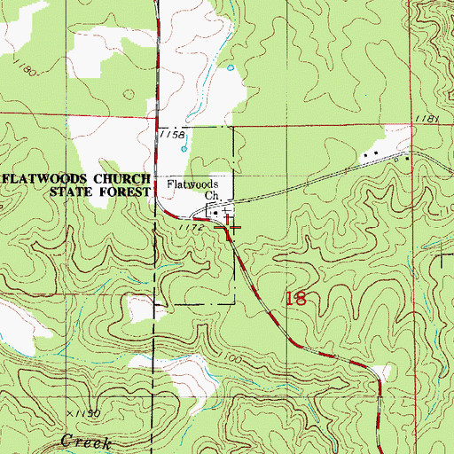 Topographic Map of Flatwoods Church, MO