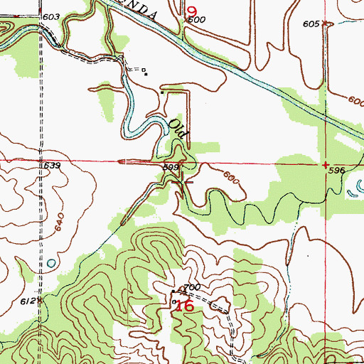 Topographic Map of Foree Branch, MO