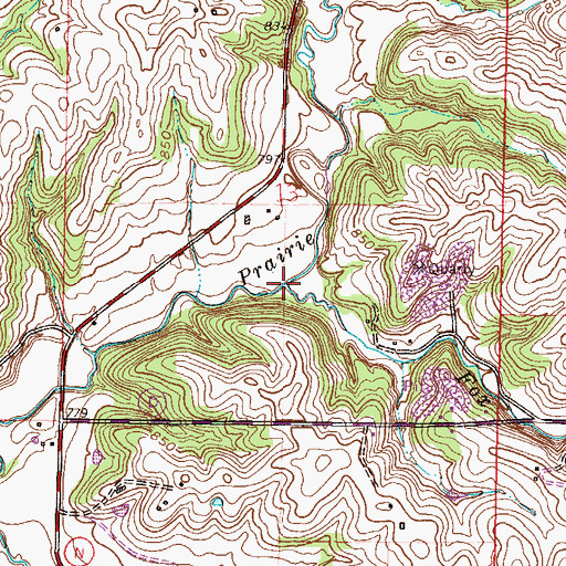 Topographic Map of Fox Creek, MO