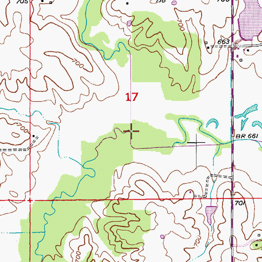 Topographic Map of Hawkins Branch, MO