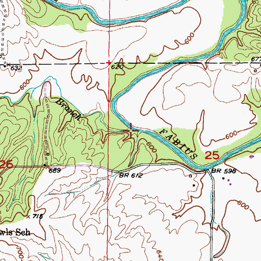 Topographic Map of Hilbert Branch, MO
