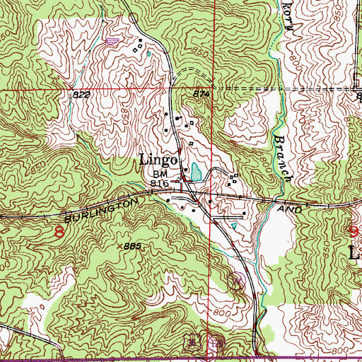 Topographic Map of Lingo, MO