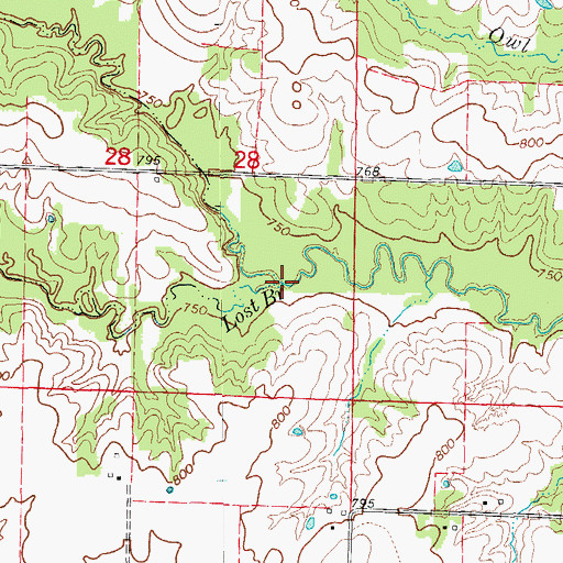 Topographic Map of Lost Branch, MO
