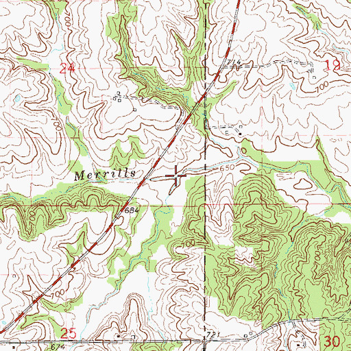 Topographic Map of Moreland Branch, MO