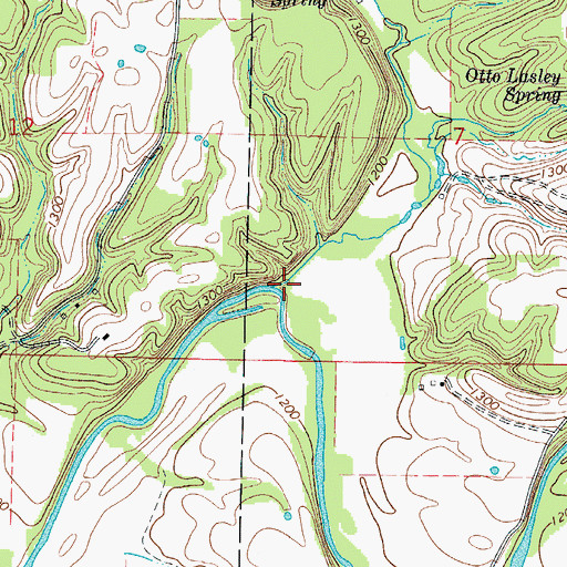 Topographic Map of Pedelo Creek, MO