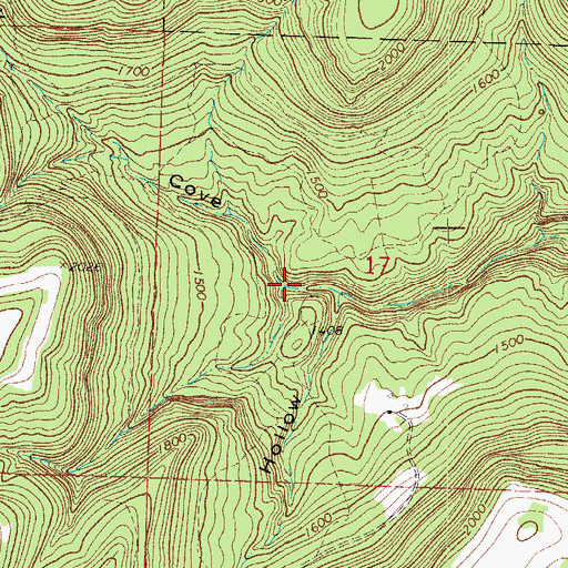 Topographic Map of Silbey Cove, AR