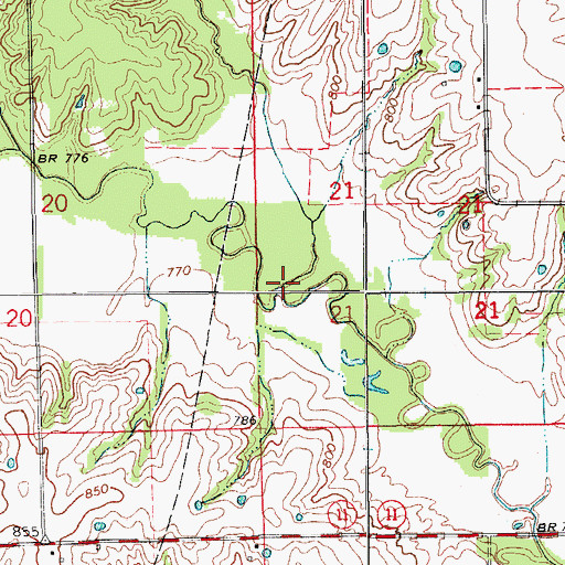 Topographic Map of Plum Branch, MO