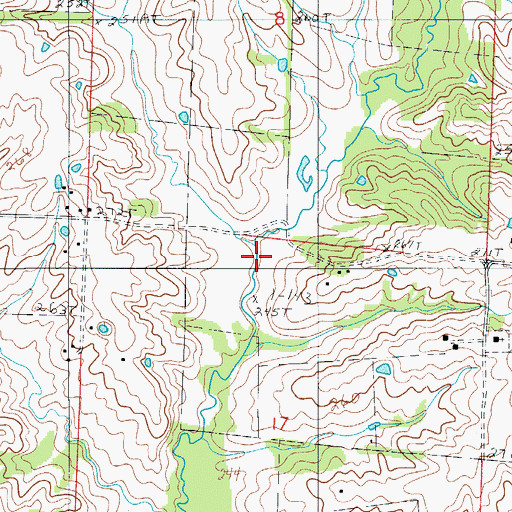 Topographic Map of Plumb Branch, MO