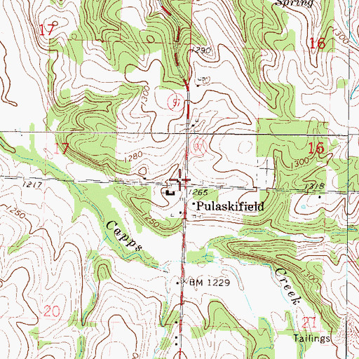 Topographic Map of Pulaskifield, MO