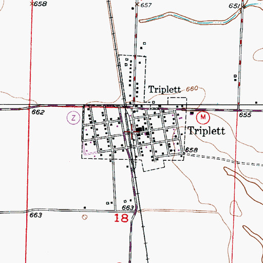 Topographic Map of Triplett, MO