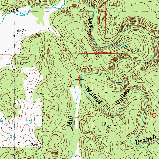 Topographic Map of Walnut Valley Branch, MO