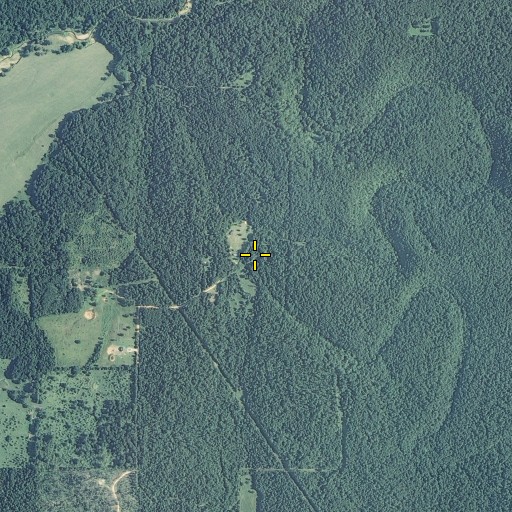 Aerial/Satellite Image of Walnut Valley Branch, MO