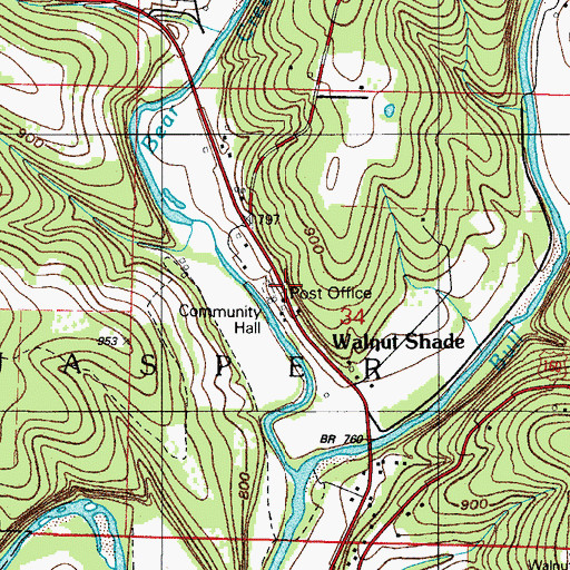 Topographic Map of Walnut Shade Cemetery, MO