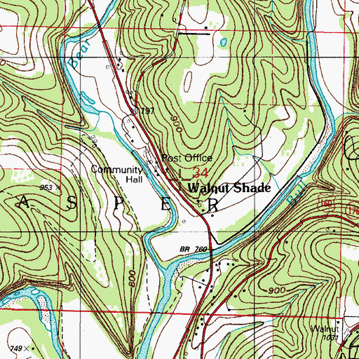 Topographic Map of Walnut Shade Community Hall, MO