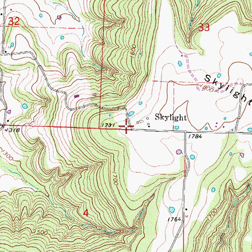 Topographic Map of Skylight, AR