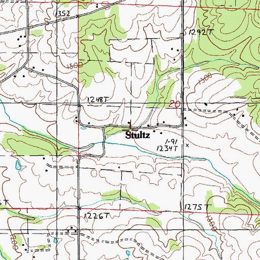 Topographic Map of Stultz, MO