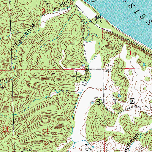 Topographic Map of Whitesand, MO