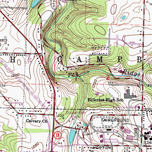 Topographic Map of Dickerson Branch, MO