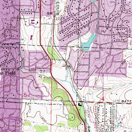Topographic Map of East Branch Galloway Creek, MO