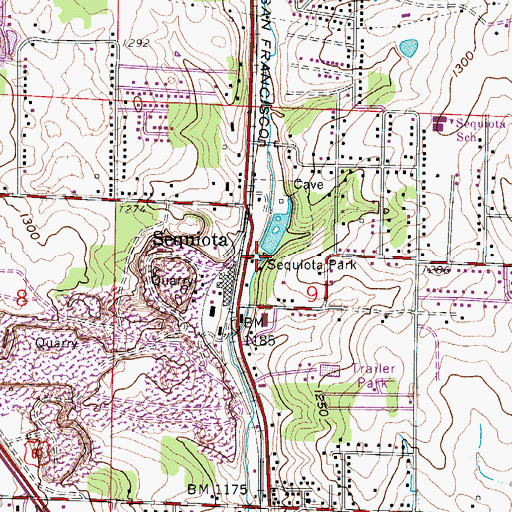 Topographic Map of Sequiota Spring Branch, MO