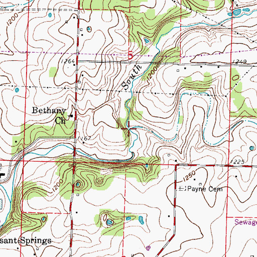 Topographic Map of South Branch South Creek, MO
