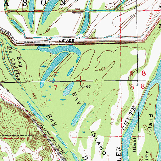 Topographic Map of Murphy Island, MO