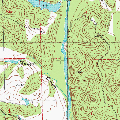 Topographic Map of Pine Ford Lake, MO