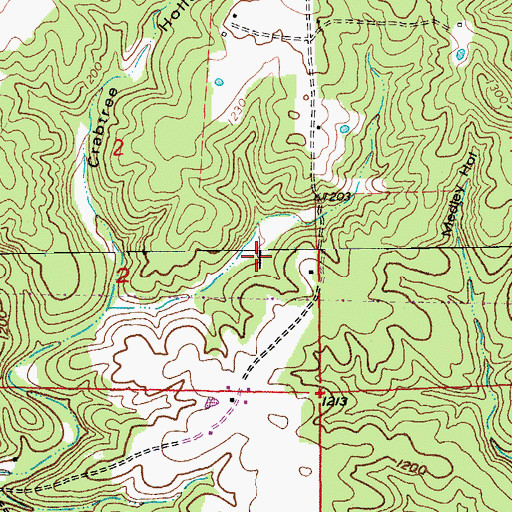 Topographic Map of Salem Upland, MO