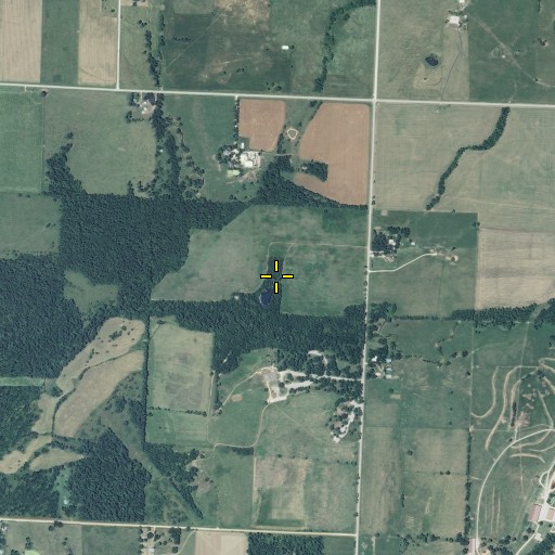 Aerial/Satellite Image of Williams Spring, MO