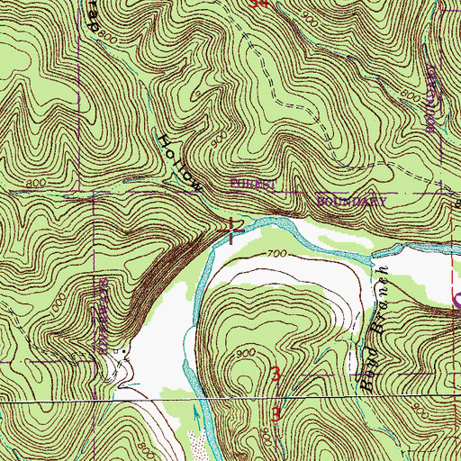 Topographic Map of Fish Trap Hole, MO