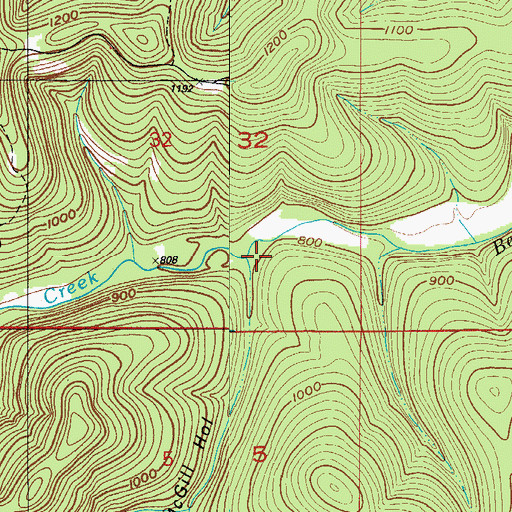 Topographic Map of Mc Gill Hollow, MO