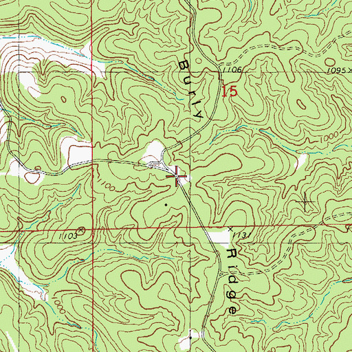 Topographic Map of Burly Ridge, MO