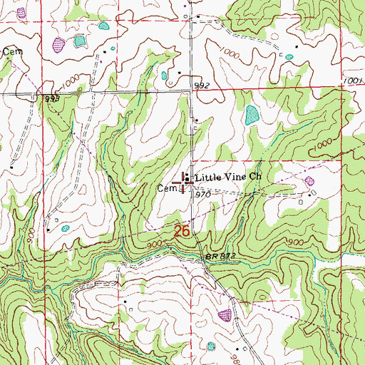 Topographic Map of Little Vine Church, MO