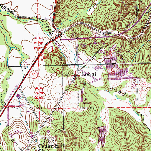Topographic Map of Local, MO