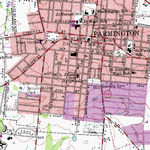 Topographic Map of W L Johns School, MO