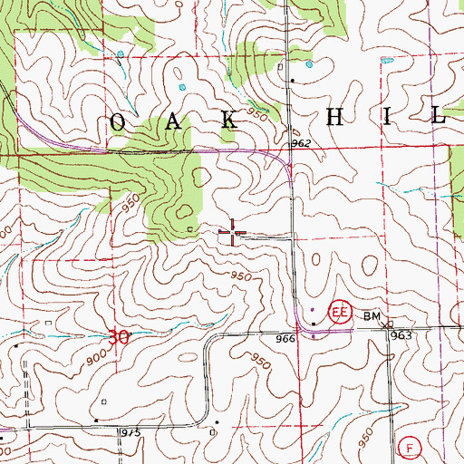 Topographic Map of Mount Pleasant Baptist Church (historical), MO